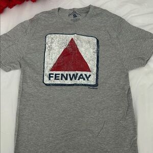 Gray Boston Fenway Graphic T-Shirt